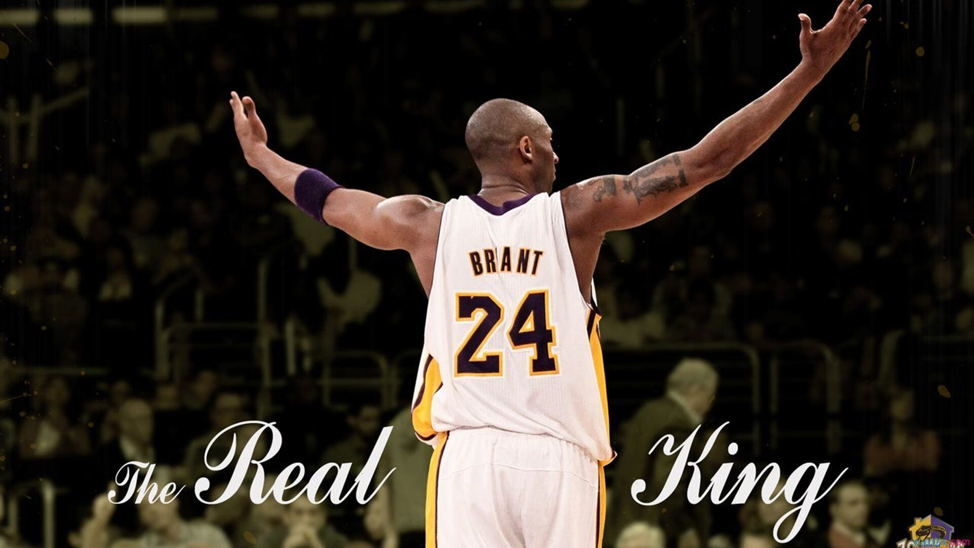 展望未来：哪些队伍将成为黑马？，展望未来_哪些队伍将成为黑马