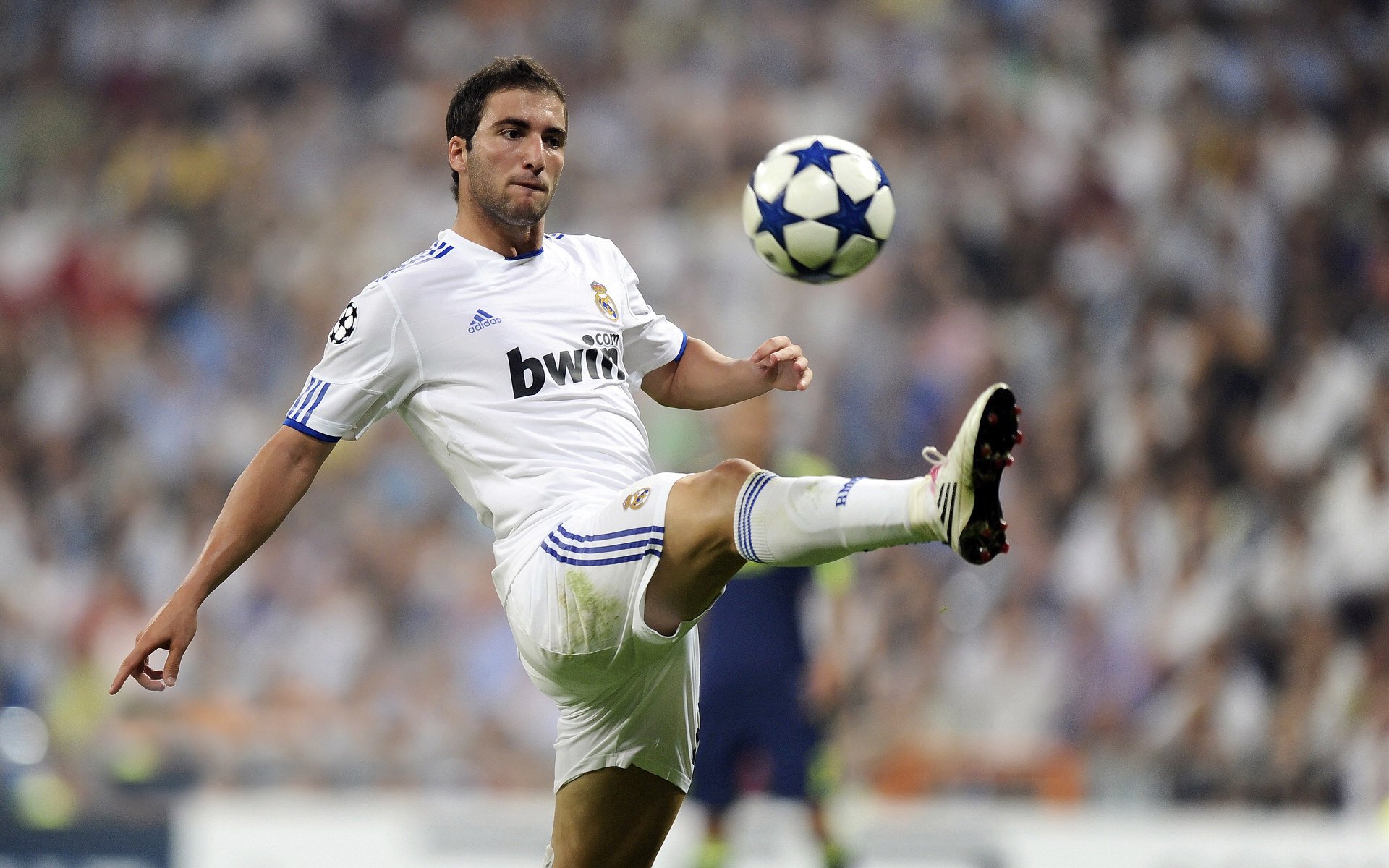 佩雷拉已经从狼队官宣下课,国安未来要是换帅,可以考虑请他,佩雷拉执教国足